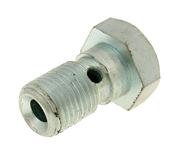 Hohlschraube Bremsleitung M10x1,0 für AJP, Brembo Bremssattel