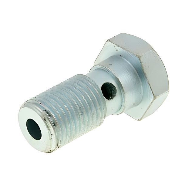 Hohlschraube Bremsleitung M10x1,0 für AJP, Brembo Bremssattel