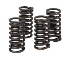 Sportkoppelingsveren voor AM6 Aprilia SX50-RS50