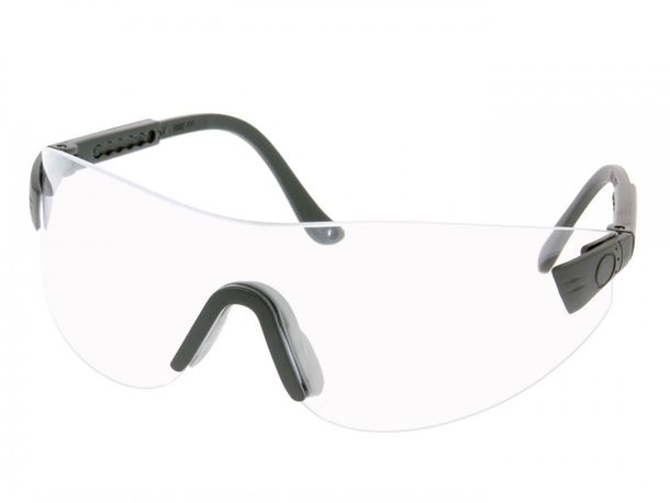 protective goggle / spectacle clear