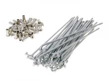 Speichen Set inkl. Nippel 147,5mm, 80 Grad, 36 Stück