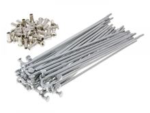 Speichen Set inkl. Nippel 147,5mm, 90 Grad, 36 Stück