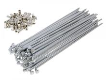 Speichen Set inkl. Nippel 181mm, 90 Grad, 36 Stück