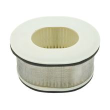 Vicma luchtfilter voor Yamaha, Yamaha FZS Fazer 1000 cc 1998 - 2005