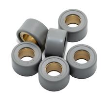 Variomatikgewichte LeoVince Set di rulli variatore 20x12mm, 9,9g, 6 pezzi