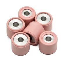 Rulli variomatici LeoVince set di rulli variatore 19x17mm, 7,9g, 6 pezzi