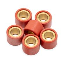 Variomatikgewichte LeoVince Set di rulli variatore 20x15mm, 12,3g, 6 pezzi
