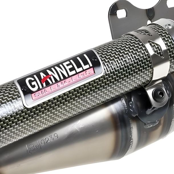 exhaust Giannelli Reverse without ABE for Peugeot – Bild 2