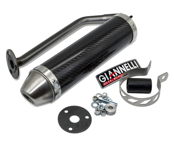 Silenciador de carbono del sistema de escape Giannelli con ABE para beta