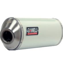 Auspuffanlage Giannelli Mini Oval Slip On Aluminium mit ABE für Kawasaki