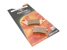 Pastiglie freno Delta Braking Sinter DB2132RDN