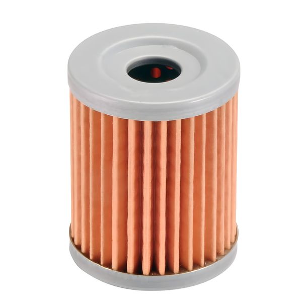 Ölfilter Polini für Suzuki Burgman 250, Yamaha Majesty 400