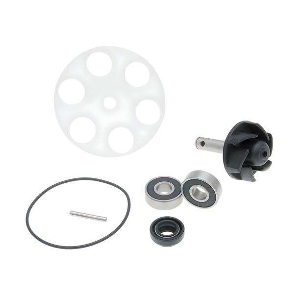 Reparaturkit Wasserpumpe verstärkt für Minarelli LC