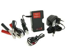 Chargeur de batterie/dispositif d'entretien Vitesses EL300 pour plomb 12V, gel