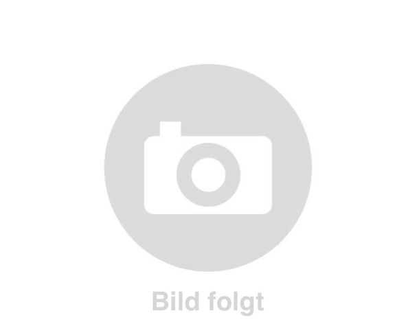 brake shoe set OEM for Minarelli