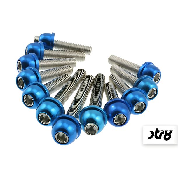 Motordeckel / Variodeckel Schraubenset STR8 Minarelli blau