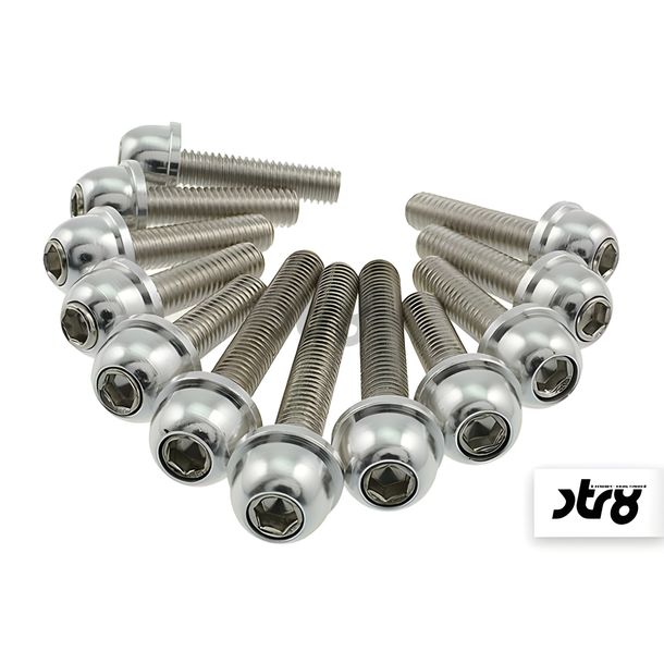 Motordeckel / Variodeckel Schraubenset STR8, silber für Minarelli 