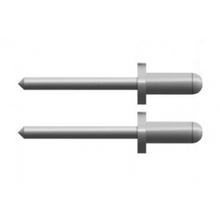 Rivets Beta 4x12 mm 500 pièces