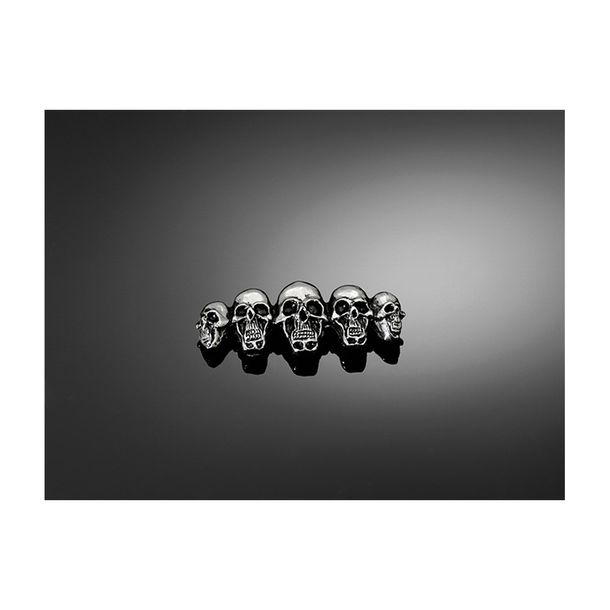 HIGHWAY HAWK Emblem skull in line size S
