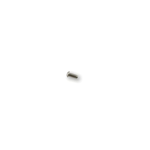 Getande spijker voor stuurslot 4x10 mm