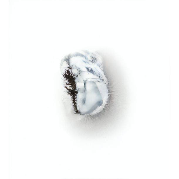 SHIN YO LED Blinker MICRO-OVAL
