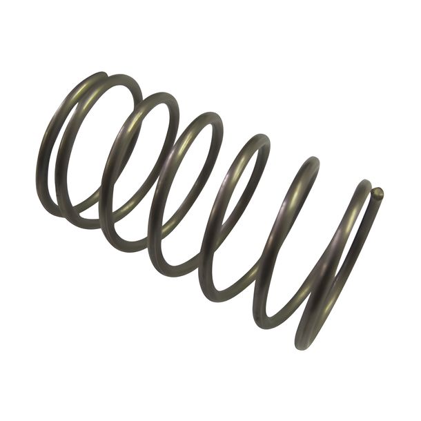 Thermostat Spring for Peugeot LC