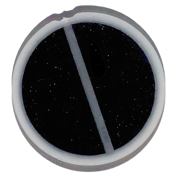 Griglia filtro aria Solex