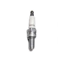 Bougie Champion RG4HCX SAE M10x1,0 SW 16mm Schroefdraadlengte 19mm
