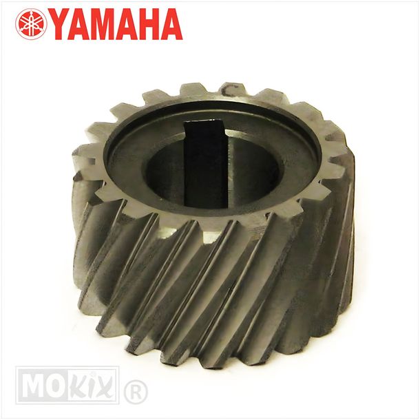 Cestello frizione pignone trasmissione per Yamaha FS1 (anno: 1977-1989)