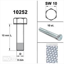 Vite M 6 x 10 Zinco 8.8 (10 pz)