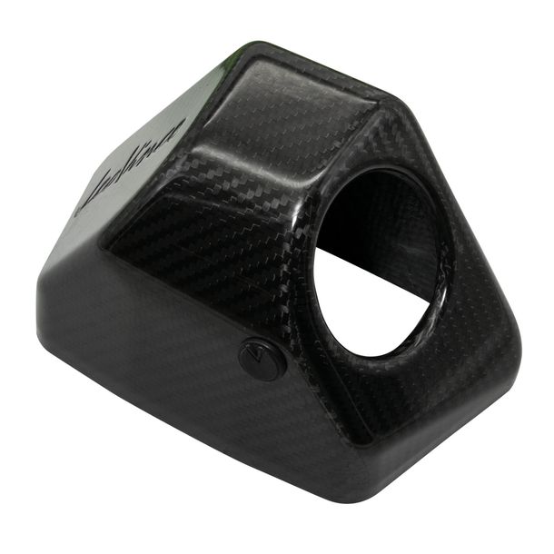 LeoVince Exhaust Trim Exhaust Replacement Part Cap Silencer, Carbon