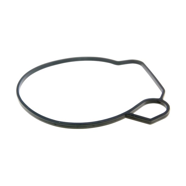 Dichtung Schwimmerkammer für CPI, Generic, Keeway mit Mikuni Vergaser