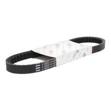 Cinghia trapezoidale tipo 732mm OEM per Piaggio corta