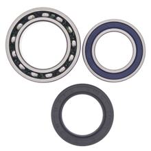 Kit de rodamientos de rueda ALL BALLS 25-1011