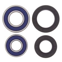 ALL BALLS 25-1035 wiellagerset voor Kymco Maxxer MXU, Kawasaki KFX KXR Arctic Cat DVX R Wide Cannondale M B S C Gas HP Wild Honda TRX EX X SporTrax 250