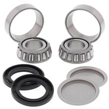 Schwingenlager-Kit ALL BALLS 28-1056 für Honda VT C2 Shadow DC Black Widow GL 1 Gold Wing VTX C S TRX EX X SportTrax 1, Suzuki RGV 1 C2B RS ST Pan-European
