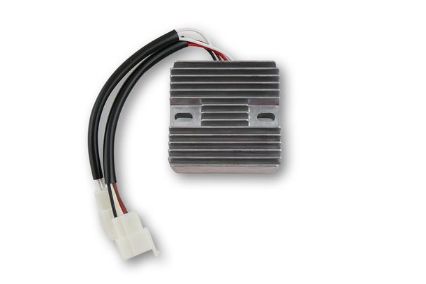 Electrex Laderegler RG 07