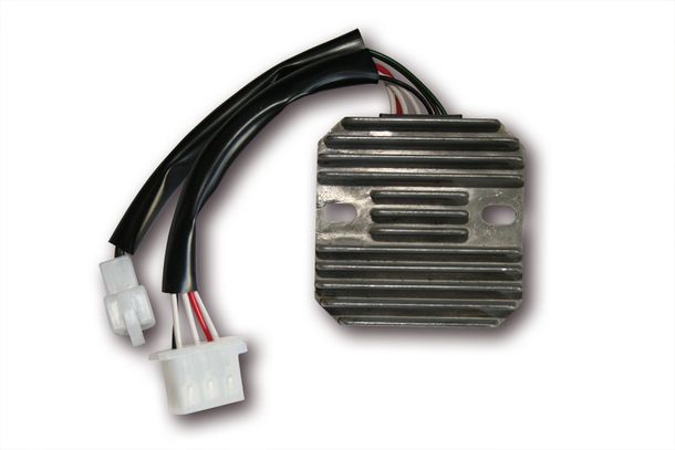 Electrex Laderegler RG 33