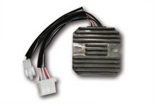 Régulateur de charge Electrex RG 33