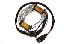 ElectroSport Stator ESC8081