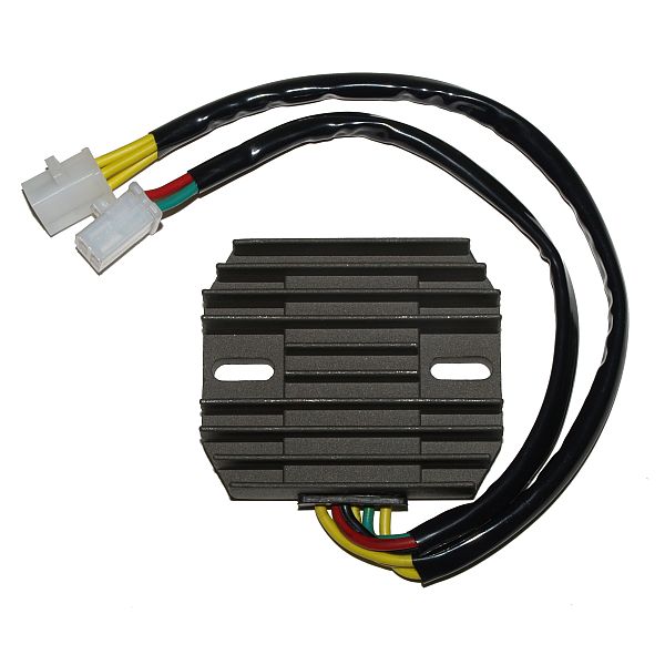 ElectroSport Laderegler ESR 180