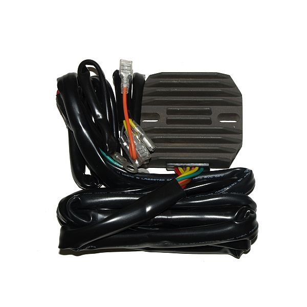 Regolatore di carica ElectroSport ESR 450