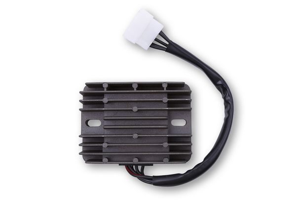 ElectroSport Laderegler ESR 100