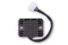 Regolatore di carica ElectroSport ESR 100