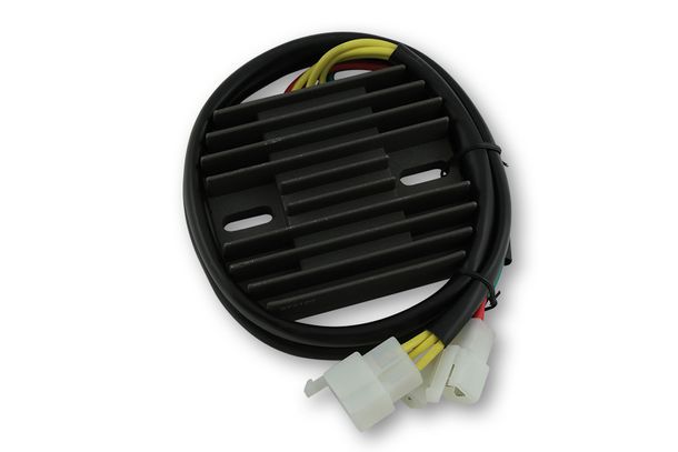 Regolatore di carica ElectroSport ESR 120