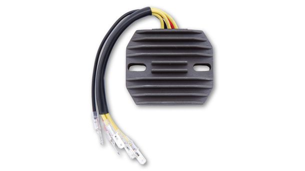Régulateur de charge ElectroSport ESR 130
