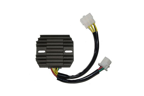 Regolatore di carica ElectroSport ESR 210
