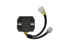 Controlador de carga ElectroSport ESR 210