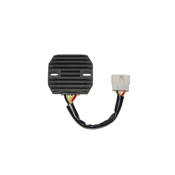 Régulateur de charge ElectroSport ESR 261