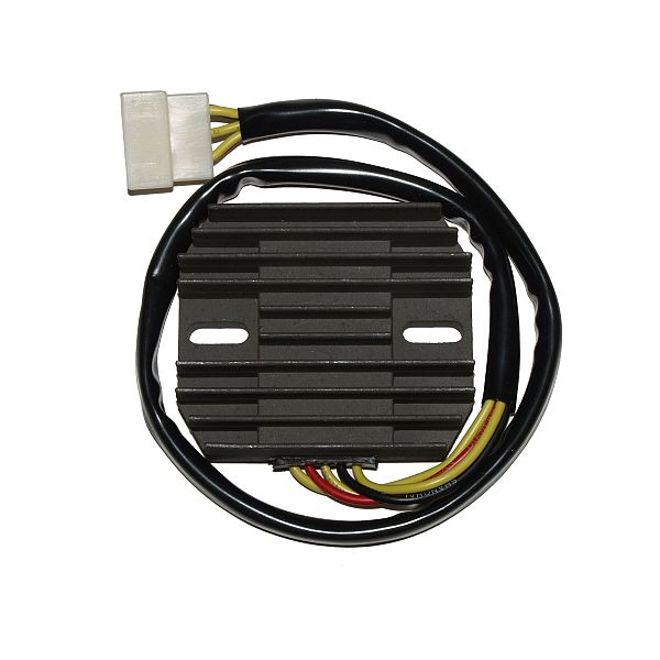 ElectroSport Charge controller ESR 266